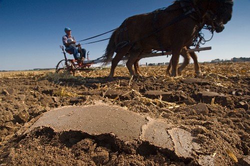 Do We Treat Our Soil Like Dirt?