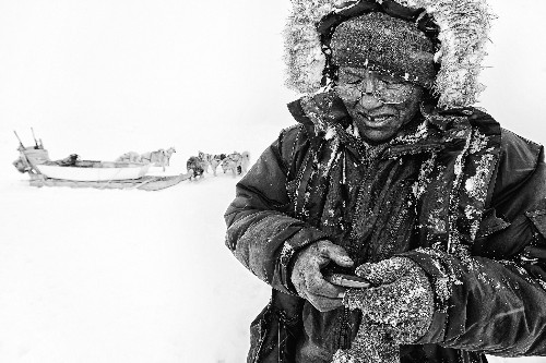 Ancient DNA Sheds New Light on Arctic's Earliest People