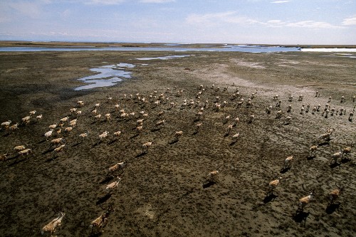 Melting Arctic Permafrost Could Release Tons of Toxic Mercury