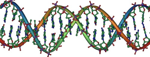 Where Genes Come From