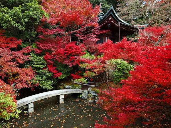 Top 10 Places to See Autumn Leaves