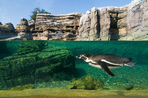 Pictures: Seven Energy-Smart Zoos and Aquariums