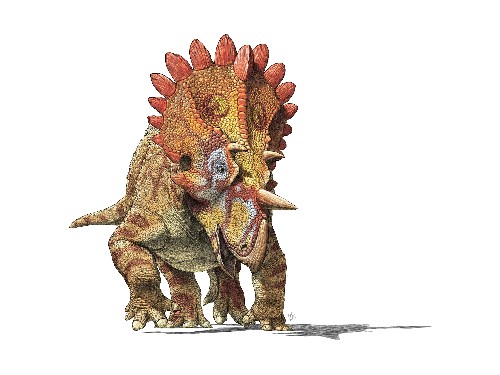Meet 'Hellboy': New Spiky-Headed Dinosaur Found
