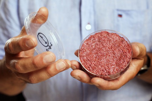 Will Your Next Burger Come From a Petri Dish?
