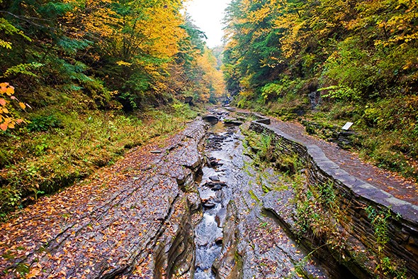 Leaf-Peeping Paradise: The Finger Lakes