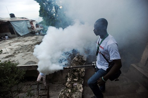 Mosquitoes Carry Painful Chikungunya Virus to Americas