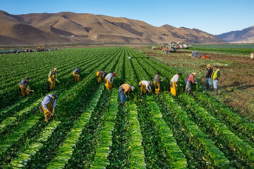 How Reducing Food Waste Could Ease Climate Change