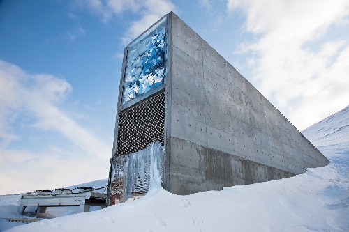 Doomsday Seed Vault's New Adds: "Space Beer" Barley, Brazil Beans