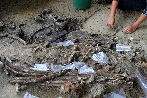 700,000-Year-Old Stone Tools Point to Mysterious Human Relative