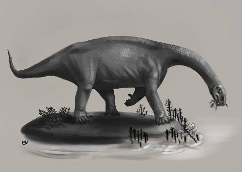 Paleo Profile: Pulanesaura eocollum