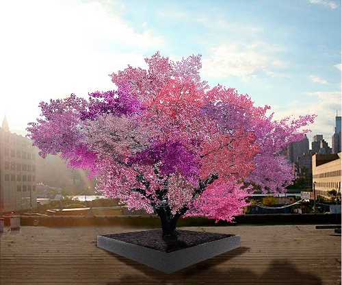 What a ‘Tree of 40 Fruit’ Tells Us About Agricultural Evolution