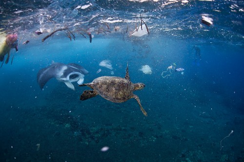 The Best Way to Deal With Ocean Trash