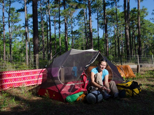 Florida's Pristine Parks: Ocala National Forest