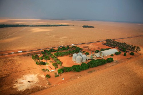 Brazil Leads World in Reducing Carbon Emissions by Slashing Deforestation