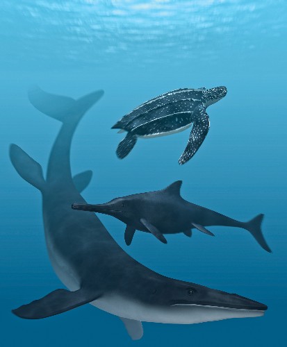 Dinosaur-Era Swimming Reptiles Had Black Skin