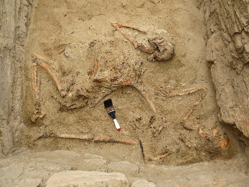 Ancient Tomb of Chimú Nobles Found in Peru