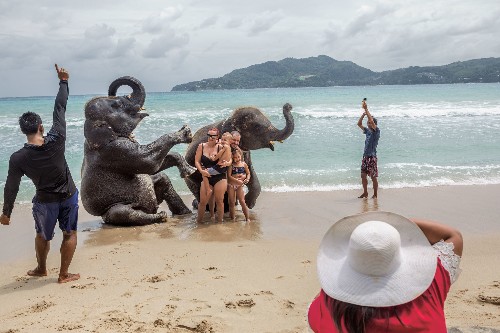 Suffering unseen: The dark truth behind wildlife tourism