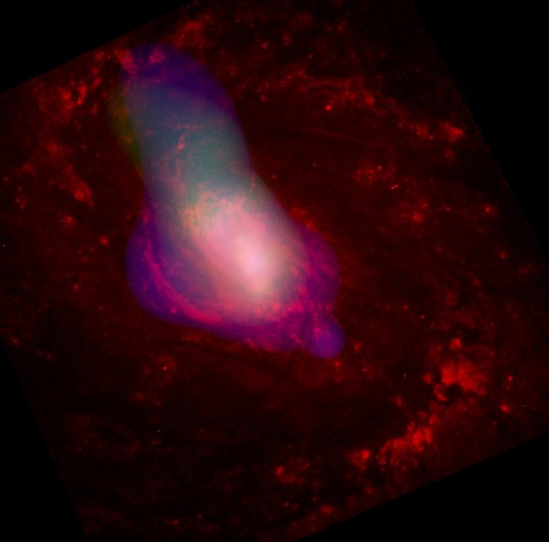 Winds Blasting From Black Holes Shut Down Star Growth