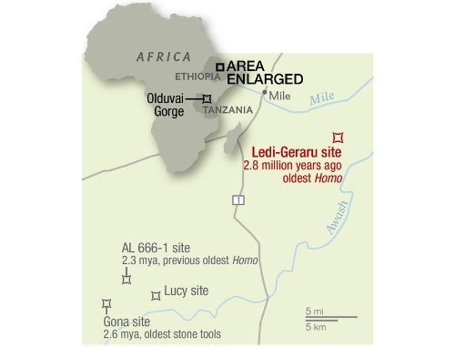 Oldest Human Fossil Found, Redrawing Family Tree