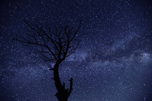 Sparkly Meteors and 7 More Can’t-Miss Sky Events in July