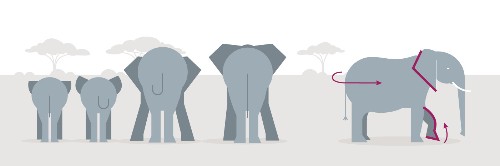 What Elephant Calls Mean: A User’s Guide
