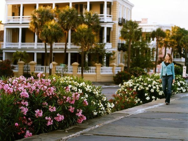 Road Trip: Low Country, South Carolina and Georgia