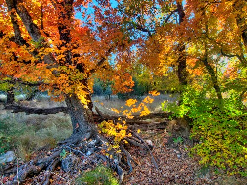 How to Take HDR Pictures
