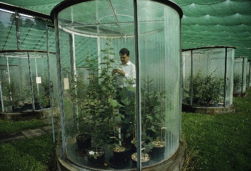 Bracing for a Food Fight: High Tech vs. Slow Food