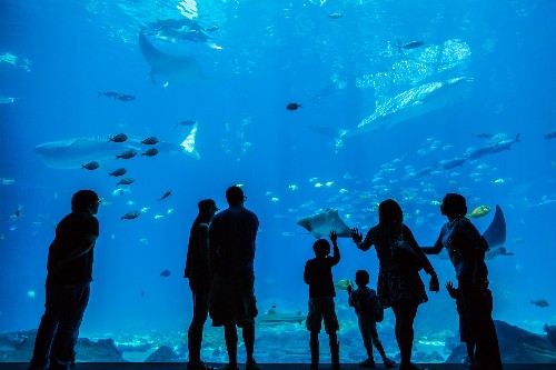 Discover the Best of Atlanta