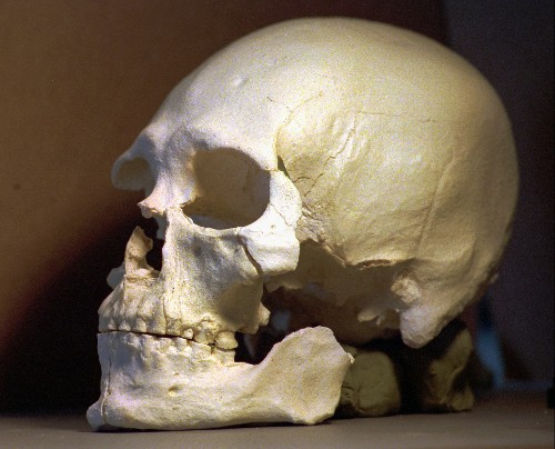 Locked Away for Years, Skeleton's Secrets Rewrite Prehistory of North America