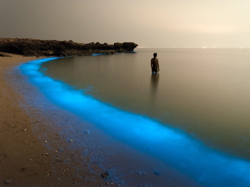 Photo of the Day: Best of 2015