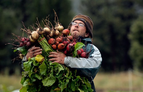 Global Survey Says We're Eating Better, But Our Diet Is Still Unsustainable