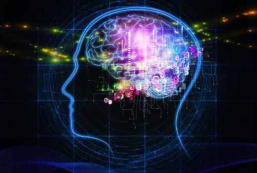 Does Language Shape What We See?