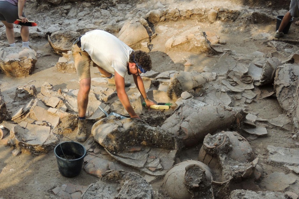 Viking DNA, a wine 'factory,' an abandoned palace, plus more recent discoveries