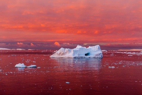 The Larsen C Ice Shelf Collapse Is Just the Beginning—Antarctica Is Melting