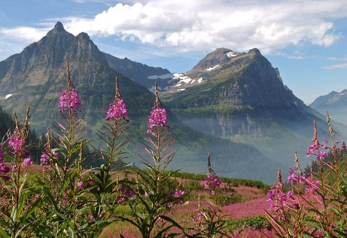 National Parks Road Trip: Northern Rockies