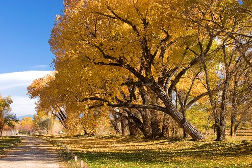 Best Fall Trips 2014