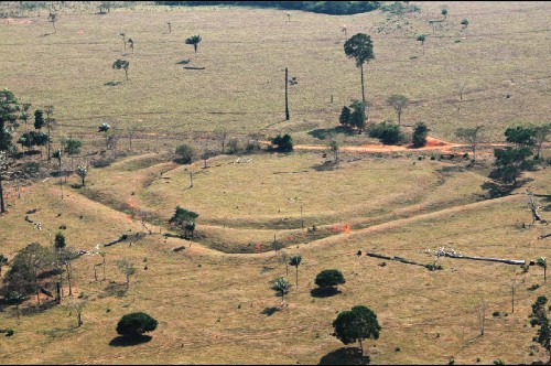 Amazon Jungle Once Home to Millions More Than Previously Thought