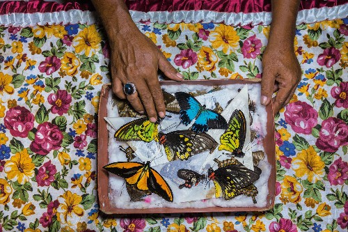 National Geographic's best stories of 2018
