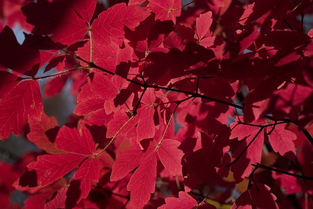14 Favorite Fall Destinations