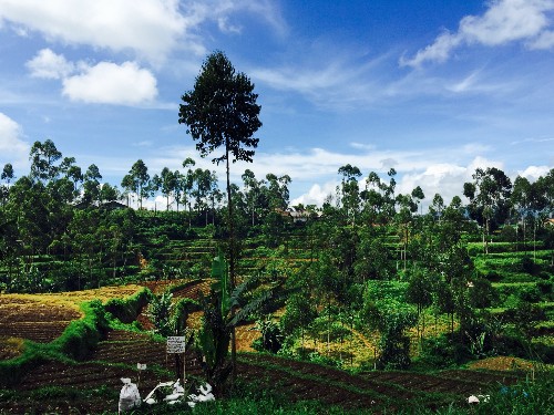 How Geothermal Could Cleanly Power the Planet: Indonesia's Tale