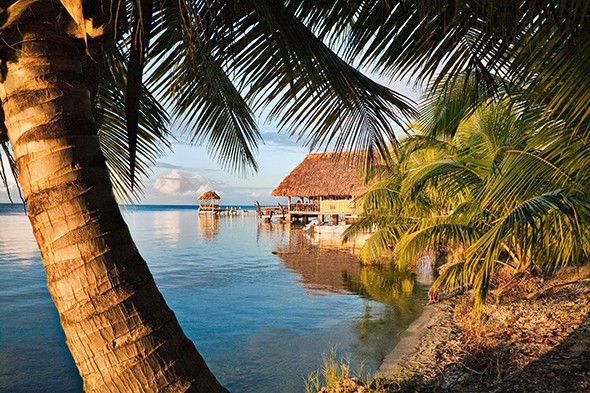 Visit the Largest Barrier Reef in the Northern Hemisphere