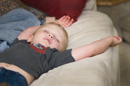 Can Phobias Be Cured in Our Sleep?