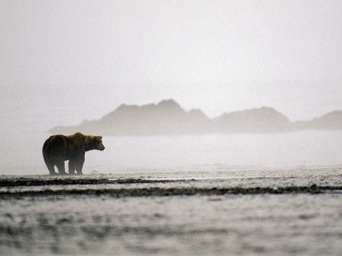 National Park Coastlines