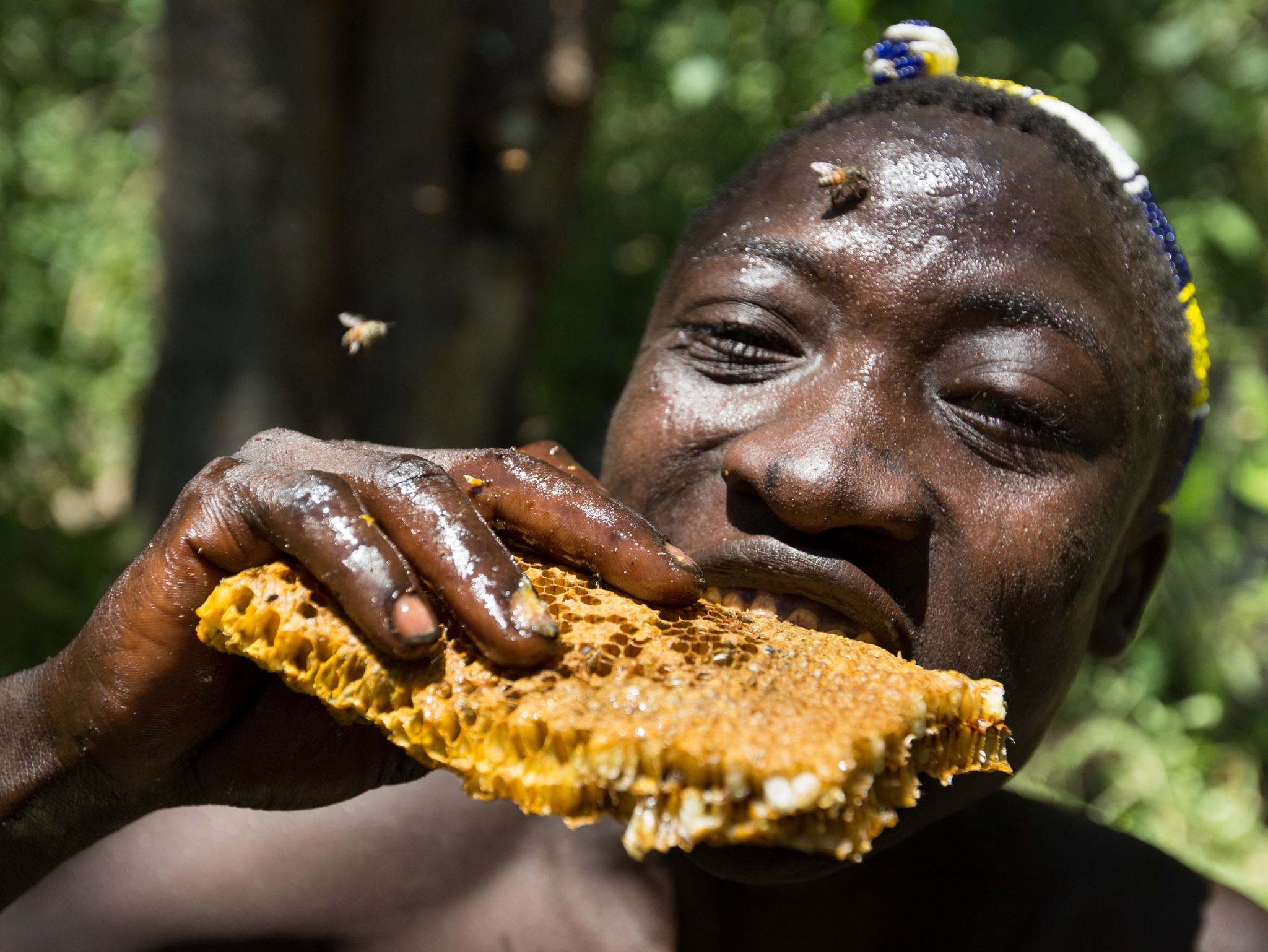 Is The Secret To A Healthier Microbiome Hidden In The Hadza Diet?