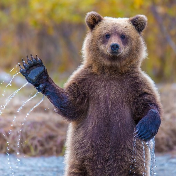 The Best National Park Photos of 2014