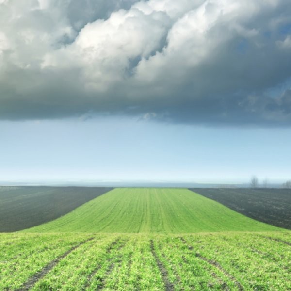 A 12-Step Approach for Big Agriculture