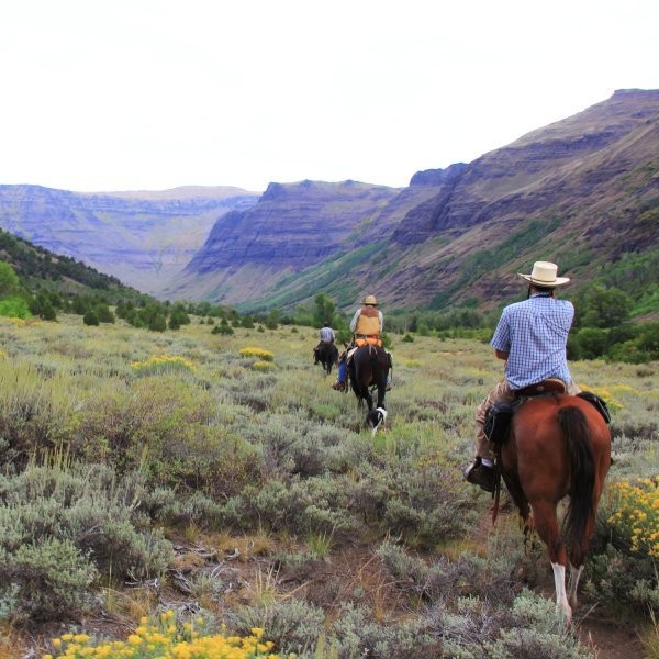 The Cheapest Land in the Country