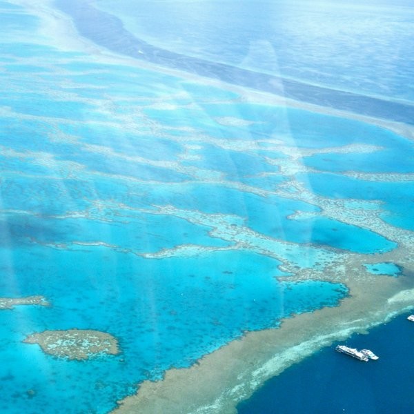 Australia Announces Plan to Save the Great Barrier Reef