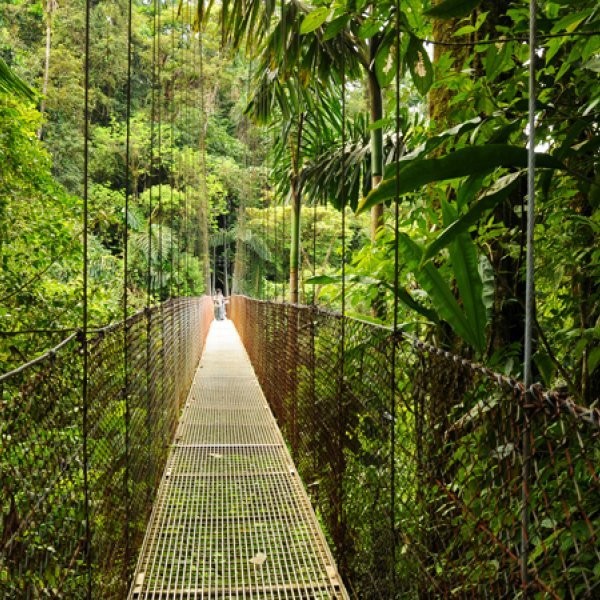 How Can I Plan My Costa Rica Adventure Vacation?